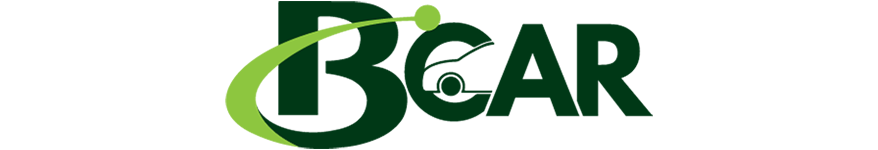 BizEx Car Dealership Business BCar
