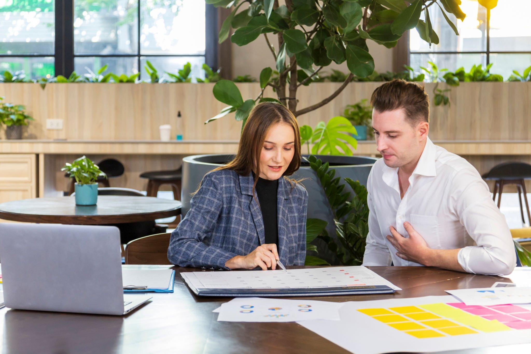 Sustainability Consulting